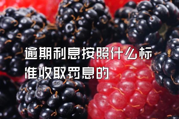 逾期利息按照什么标准收取罚息的