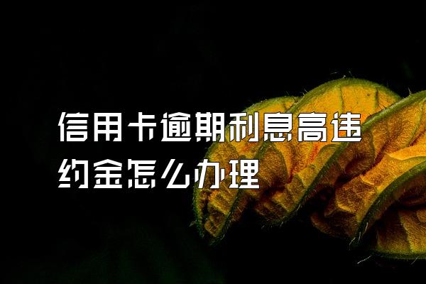 信用卡逾期利息高违约金怎么办理