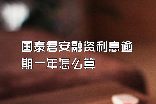 国泰君安融资利息逾期一年怎么算