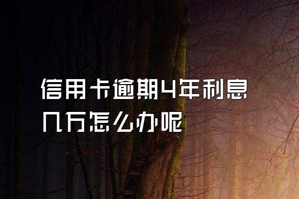 信用卡逾期4年利息几万怎么办呢