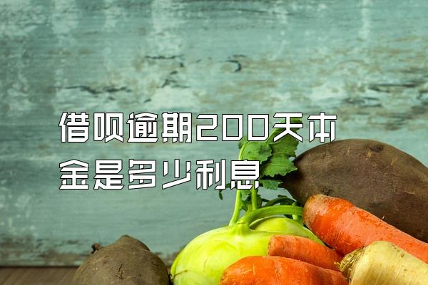 借呗逾期200天本金是多少利息
