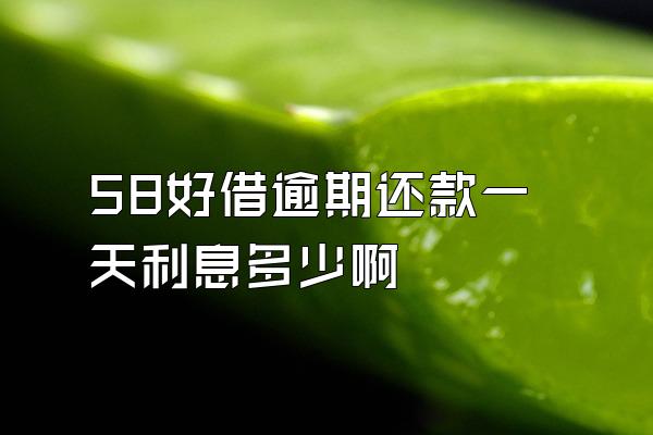 58好借逾期还款一天利息多少啊