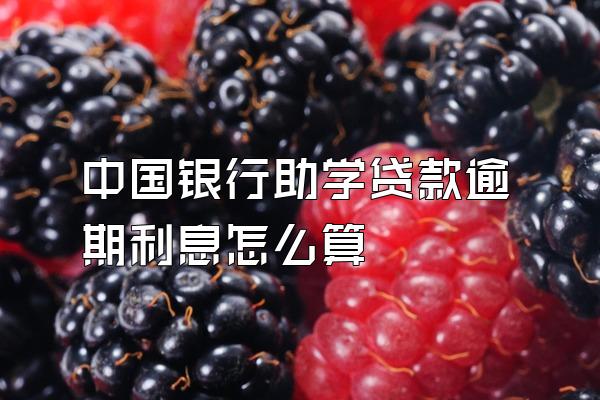 中国银行助学贷款逾期利息怎么算