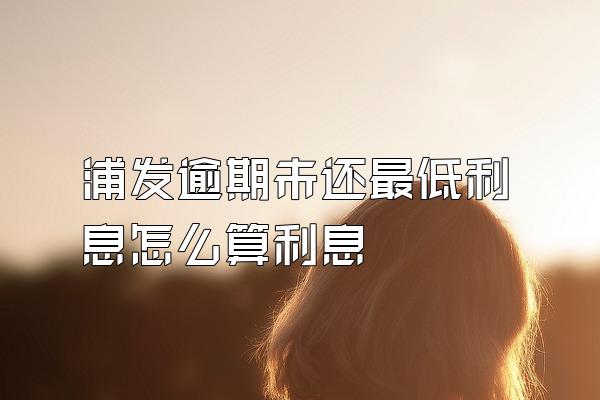 浦发逾期未还最低利息怎么算利息