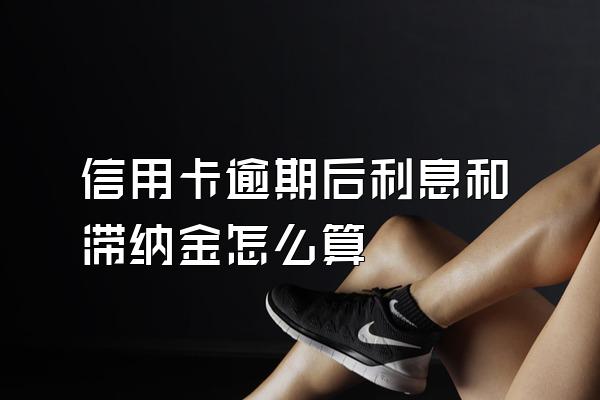 信用卡逾期后利息和滞纳金怎么算