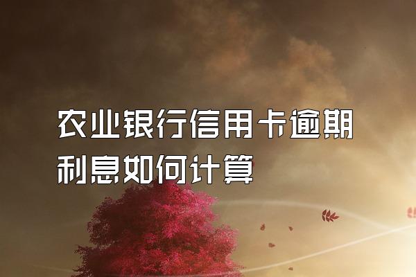 农业银行信用卡逾期利息如何计算