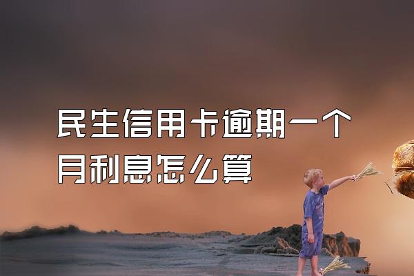 民生信用卡逾期一个月利息怎么算