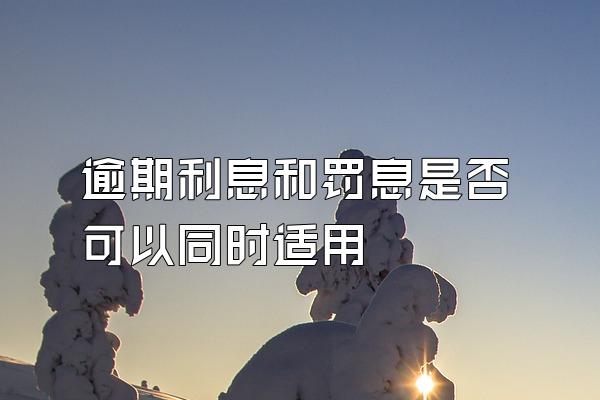 逾期利息和罚息是否可以同时适用