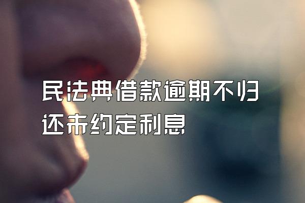 民法典借款逾期不归还未约定利息