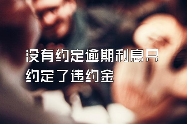 没有约定逾期利息只约定了违约金