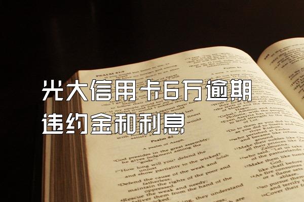 光大信用卡6万逾期违约金和利息