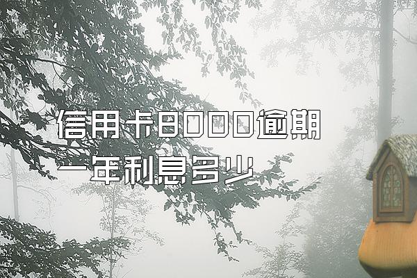 信用卡8000逾期一年利息多少