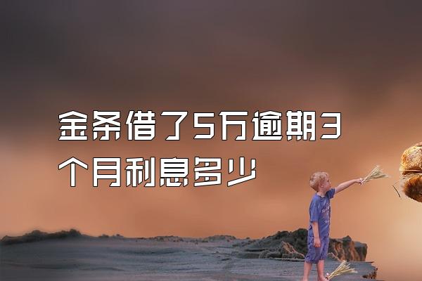 金条借了5万逾期3个月利息多少