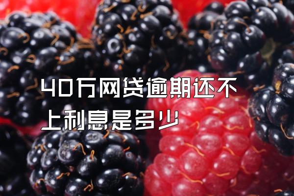 40万网贷逾期还不上利息是多少