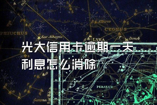 光大信用卡逾期一天利息怎么消除