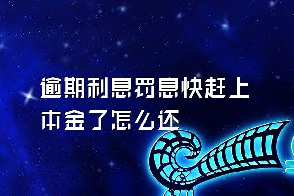 逾期利息罚息快赶上本金了怎么还