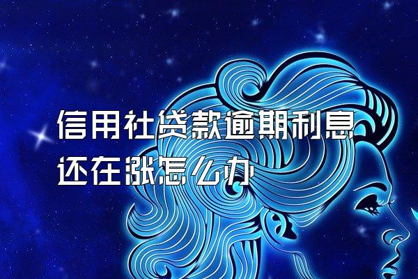 信用社贷款逾期利息还在涨怎么办