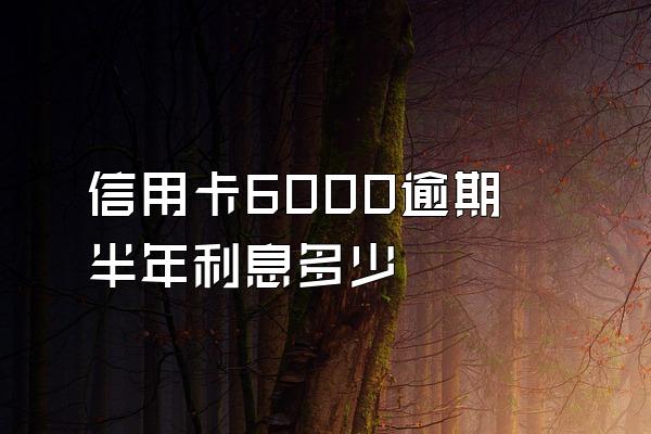 信用卡6000逾期半年利息多少