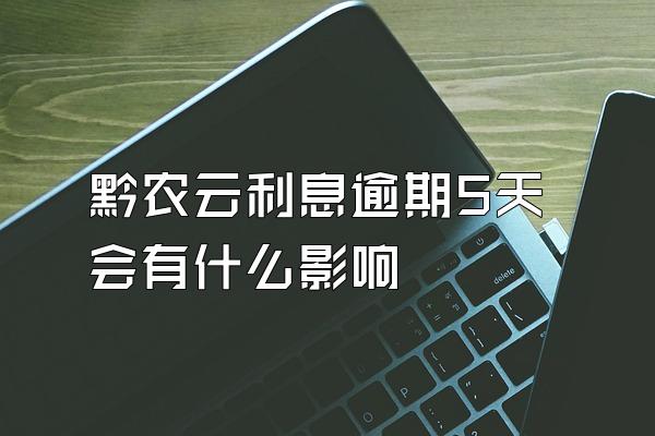 黔农云利息逾期5天会有什么影响