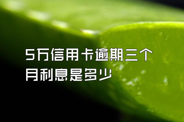 5万信用卡逾期三个月利息是多少