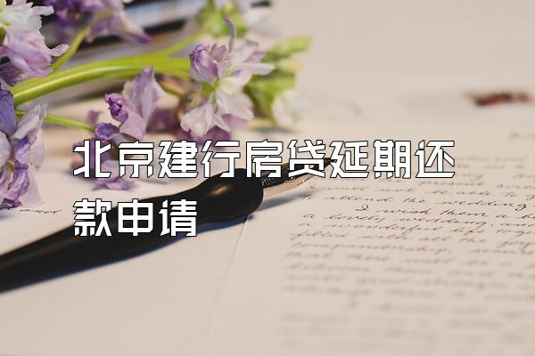 北京建行房贷延期还款申请