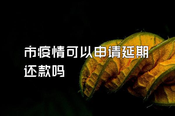 市疫情可以申请延期还款吗