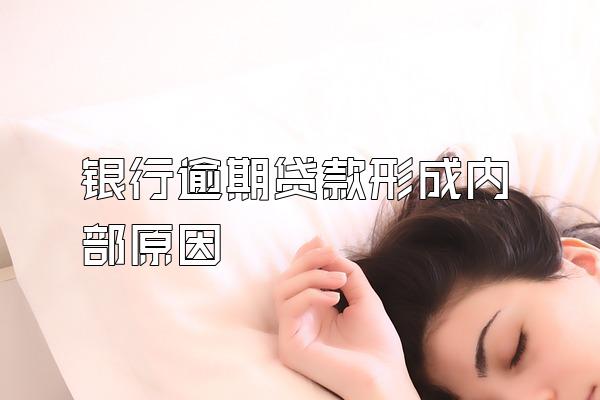 银行逾期贷款形成内部原因