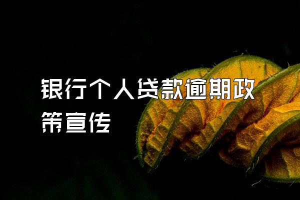 银行个人贷款逾期政策宣传