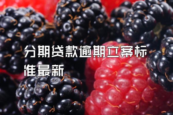 分期贷款逾期立案标准最新