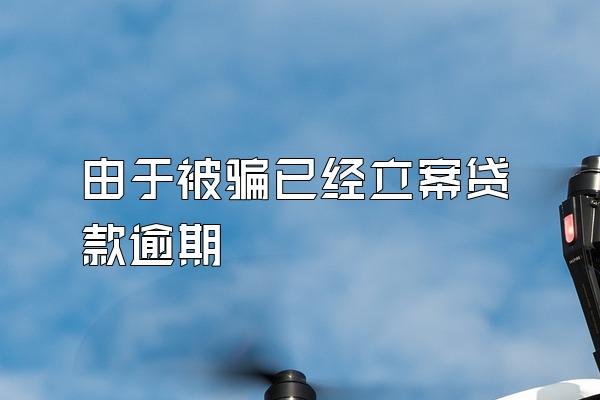 由于被骗已经立案贷款逾期