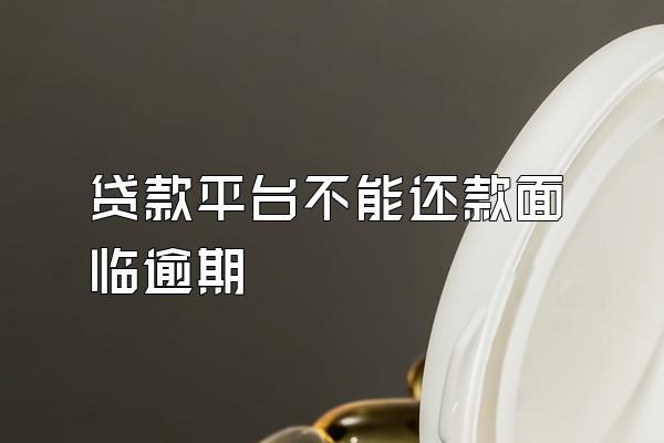 贷款平台不能还款面临逾期