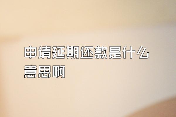申请延期还款是什么意思啊