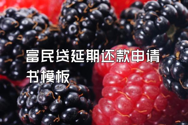 富民贷延期还款申请书模板