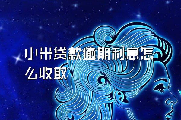 小米贷款逾期利息怎么收取