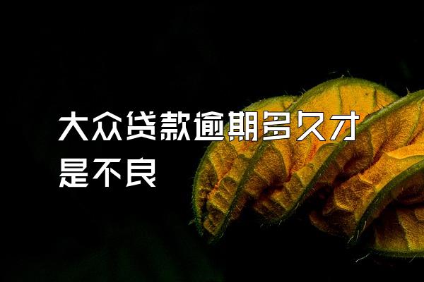 大众贷款逾期多久才是不良