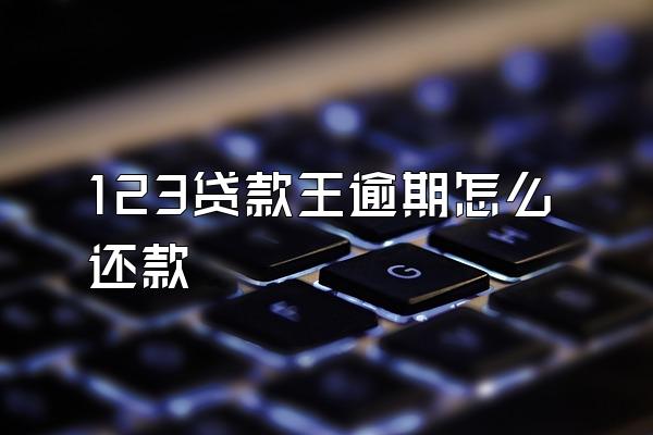 123贷款王逾期怎么还款