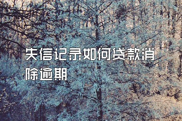失信记录如何贷款消除逾期