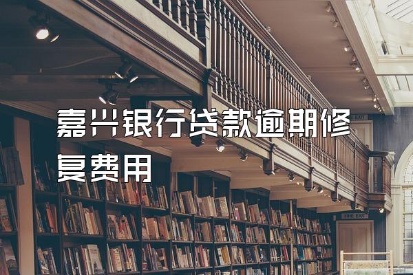 嘉兴银行贷款逾期修复费用