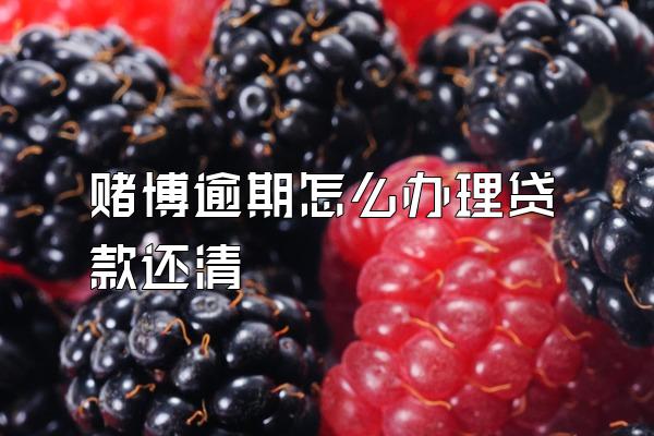 赌博逾期怎么办理贷款还清