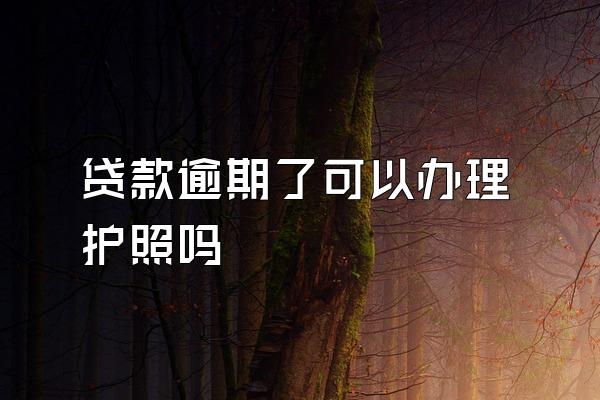 贷款逾期了可以办理护照吗