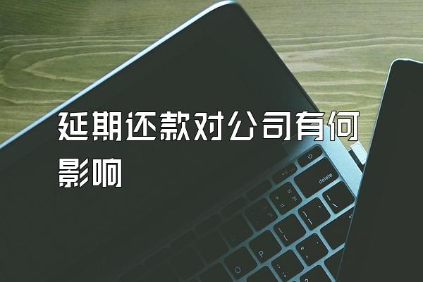 延期还款对公司有何影响