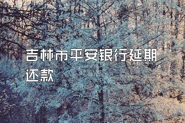 吉林市平安银行延期还款