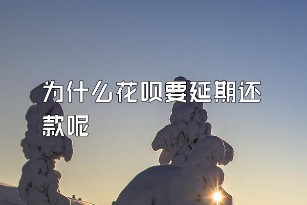 为什么花呗要延期还款呢