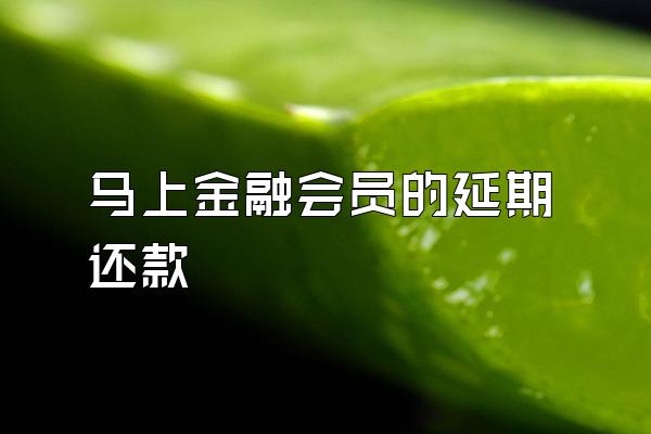 马上金融会员的延期还款