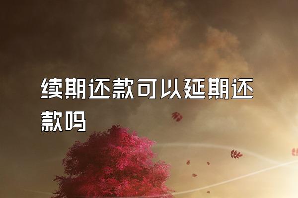 续期还款可以延期还款吗
