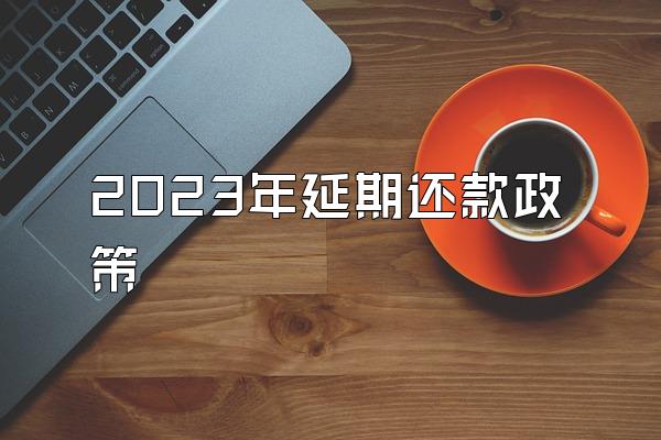 2023年延期还款政策