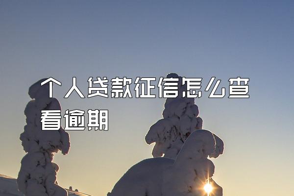 个人贷款征信怎么查看逾期
