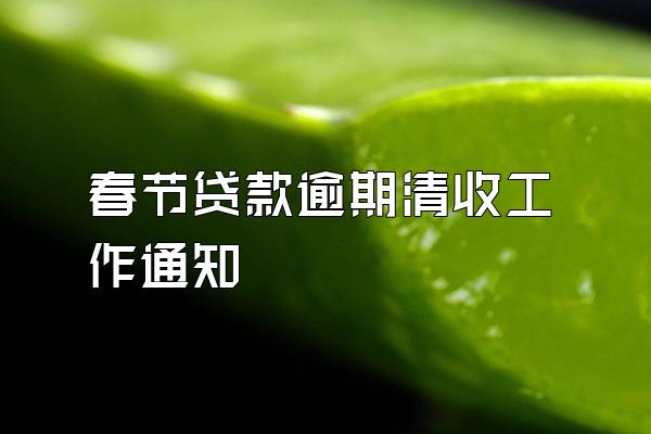 春节贷款逾期清收工作通知