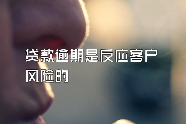 贷款逾期是反应客户风险的