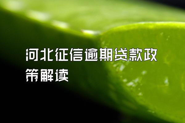 河北征信逾期贷款政策解读